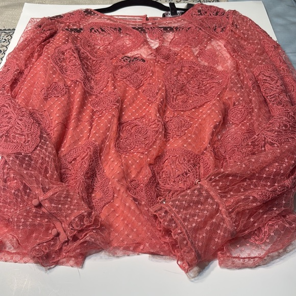 Express Pink Sheer Ruffled Blouse - Picture 3 of 3